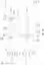 Fig. 11 - Integrated circuit and method of forming the same