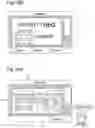 Fig. 19 - INPUT DEVICE, INPUT METHOD, AND INPUT SYSTEM