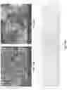 Fig. 23 - Electromagnetic state sensing devices