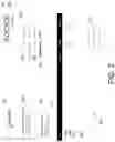 Fig. 03 - Document spatial layout feature extraction to simplify template classification