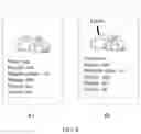 Fig. 09 - Image recognition method and terminal