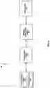 Fig. 03 - Spoof detection by estimating subject motion from captured image frames