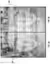 Fig. 05 - Spoof detection by estimating subject motion from captured image frames