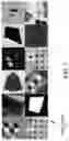 Fig. 08 - Fully convolutional interest point detection and description via homographic adaptation