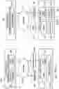 Fig. 07 - Method for image-based disposable article sizing