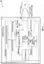 Fig. 06 - Optical feedback for visual recognition authentication