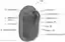Fig. 01 - Biometric sensor