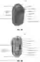 Fig. 02 - Biometric sensor