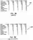 Fig. 06 - System and method of conducting games or betting as a proxy, with ease of access