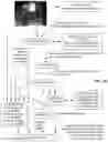 Fig. 35 - Methods and systems for content processing