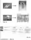 Fig. 47 - Methods and systems for content processing