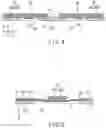 Fig. 07 - Suspension for disk device
