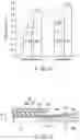 Fig. 09 - Suspension for disk device