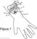 Fig. 02 - Systems for secure contactless identification and tracking with redundant electronic/visual security mechanisms
