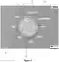 Fig. 06 - Clad wire and method for producing clad wires
