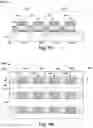 Fig. 08 - Controlling trap formation to improve memory window in one-time program devices