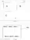 Fig. 35 - Integration of microdevices into system substrate