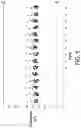 Fig. 09 - Diode structure and manufacturing method thereof