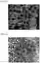 Fig. 11 - Method of producing heat dissipation substrate and method of producing composite substrate