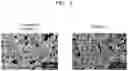 Fig. 02 - Cathode active material, method of preparing the same, and lithium secondary battery including cathode including the same
