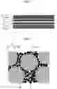 Fig. 02 - Catalyst, catalyst layer, membrane-electrode assembly, electrochemical device, and method for producing catalyst