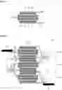 Fig. 02 - All solid state battery