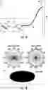 Fig. 02 - Small cell antennas suitable for MIMO operation