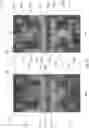 Fig. 09 - Decoupled PCB structure to parallel power transistors