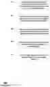 Fig. 07 - Method of optical aperture integration for producing symmetric irradiance pattern