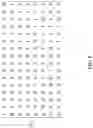 Fig. 06 - Device and method for supporting hybrid automatic repeat request (HARQ)