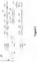 Fig. 04 - Intercell interference mitigation