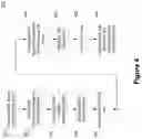 Fig. 05 - Intercell interference mitigation