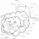 Fig. 01 - Multiple cell activation