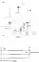 Fig. 02 - Transmission of sounding reference signal and scheduling request in single carrier systems