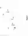 Fig. 02 - PRE-ALLOCATED RANDOM ACCESS IDENTIFIERS
