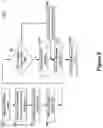 Fig. 07 - PRE-ALLOCATED RANDOM ACCESS IDENTIFIERS