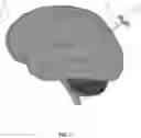 Fig. 02 - Cognitive optical control system and methods