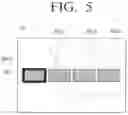 Fig. 06 - Photographing apparatus for photographing panoramic image using visual elements on a display, and method thereof