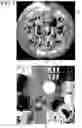 Fig. 07 - Artificial intelligence display device