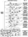 Fig. 45 - DIRECTIONAL NAVIGATION WITH MOBILE AND FIXED-LOCATION DEVICE INTERNET QUERY INITIATION