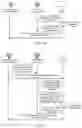 Fig. 30 - Wireless network access method, apparatus, device, equipment and system