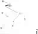 Fig. 07 - Distribution of system information in a wireless access telecommunications system