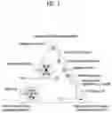 Fig. 02 - Method for transmitting/receiving signal in wireless communication system and device supporting same