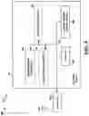 Fig. 09 - Determination of physical downlink control channel receive time based on physical downlink shared channel reference symbol