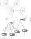 Fig. 02 - NR V2X—methods for data transmission in wireless systems