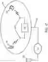 Fig. 04 - Control and operation in wireless local area network