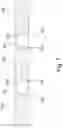 Fig. 08 - Electrically functional circuit board core material