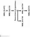 Fig. 02 - Mutants of paenibacillus and methods for their use