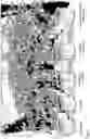 Fig. 04 - Fungal strain of the genus and method for promoting plant growth