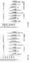 Fig. 06 - Fungal strain of the genus and method for promoting plant growth